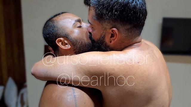 Ursos se beijando 
