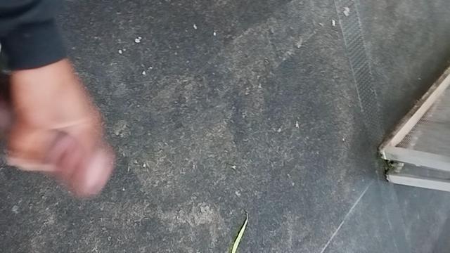 Andando cm pika de fora 