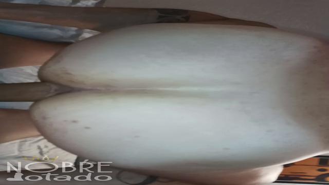 011 Fodendo esse rabudo lindo até gozar e bater o leite