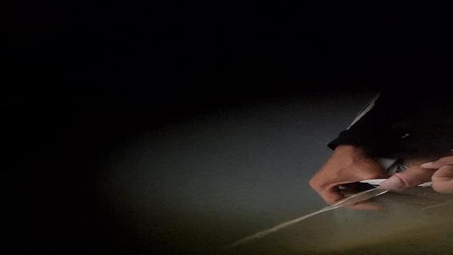 Spy