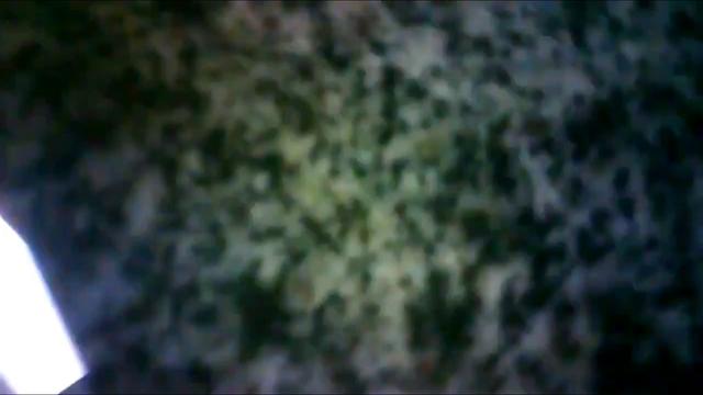PISSING #297