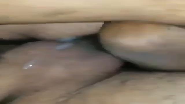 LEITADA NA DP