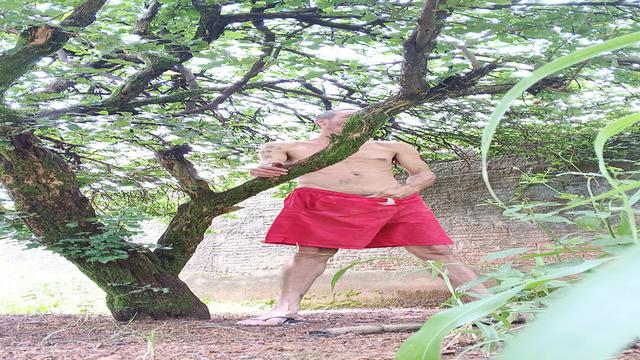 No mato é mais gostoso 