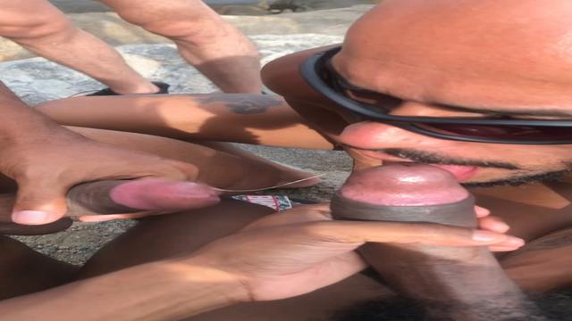 Apricot beach 