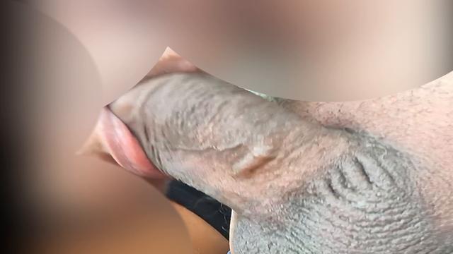 CASADO DO PAU GROSSO NA TRILHA 