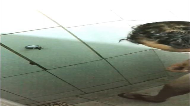 SHOWER #101