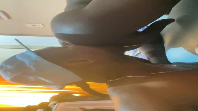 Parte 2 com o pretinho marrento 