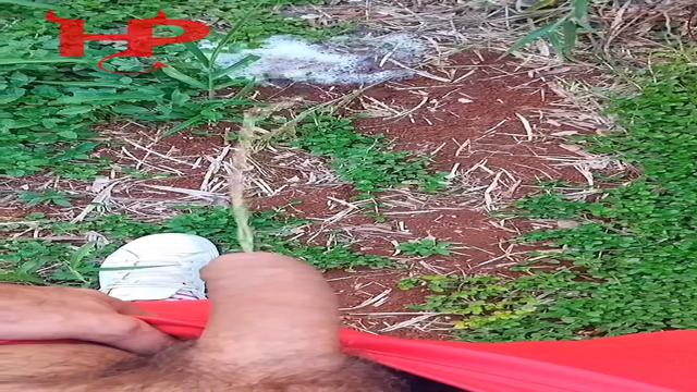 I was caught taking a piss in the middle of the woods