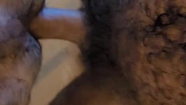 Uma cena perdida com Flavio