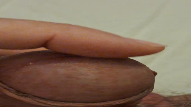 PICÃO PREGUIÇOSO E BABÃO