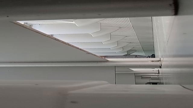 Esses caras são demais 