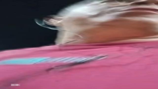 Olha o pedreiro que tava mostrando no trabalho agora tava na praça e gozou bateu uma e gozou na praça delícia inédito exclusivo 