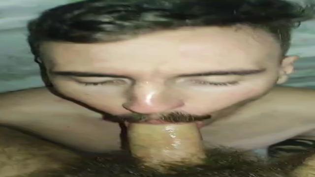 Cuspida 