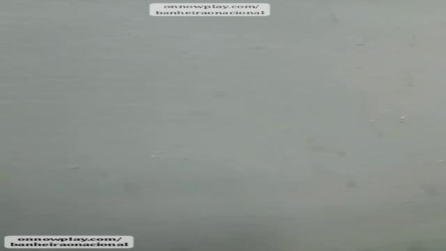 Putaria rolando solta