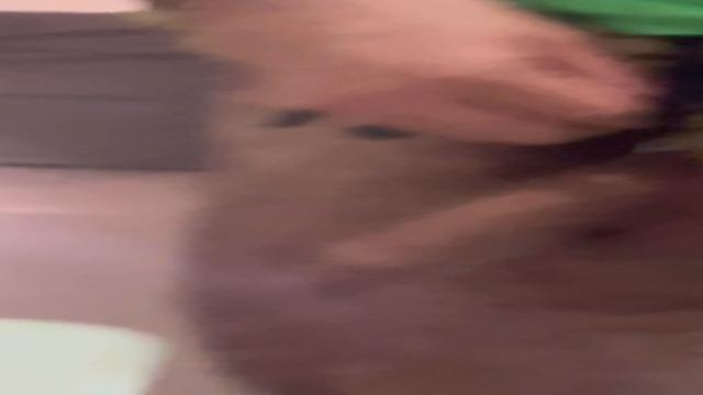 Como vc prefere meu pau?