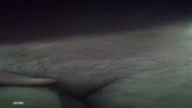 Taxista inédito primeira vez dele aqui meio tímido em breve leitinho dele 