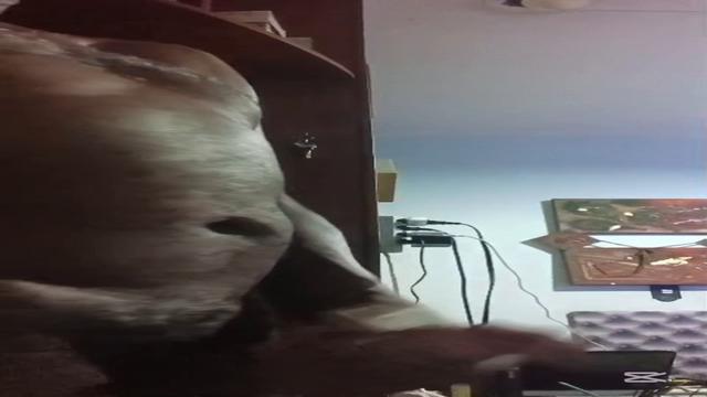 Coroa guarda aposentado inédito negão roludo exclusivo em breve leite dele 