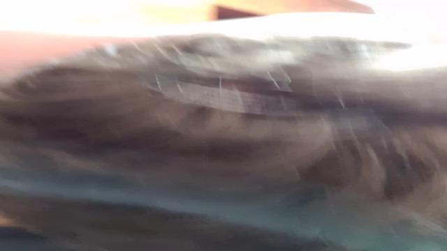 Que delicia!