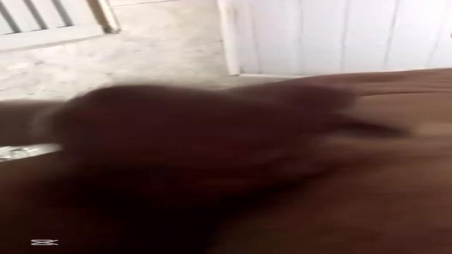 Maduro 64 anos no banho tímido em breve leite dele 