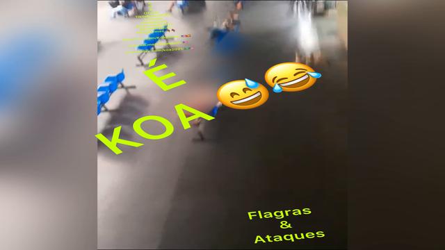 Divertidos ataques e flagras 