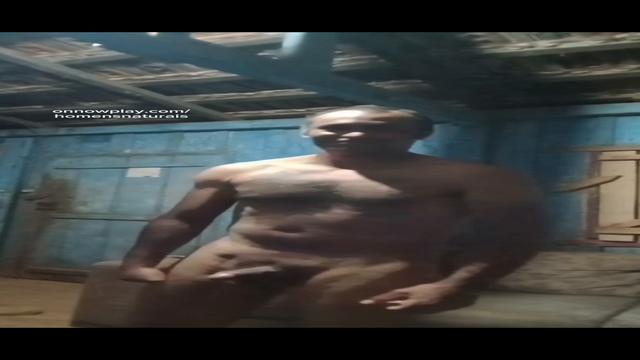 Roceiro macho 