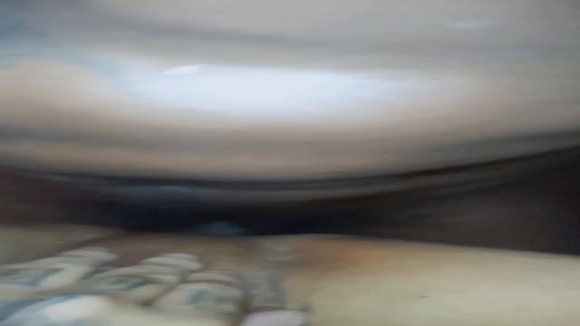 LEVEI PICA E FUI LEITADO PELO HAITIANO