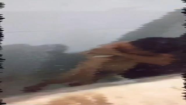 Caminhoneiro no banho 2