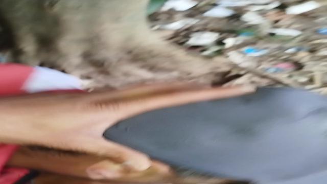 Coloquei tio pra mama na trilha ?