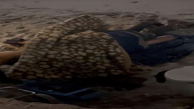 Mendigos trepando