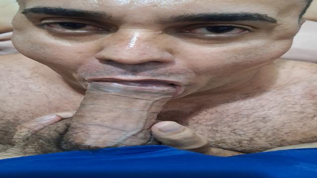 Veado otária sob domínio 