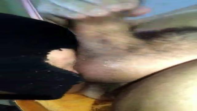 Lambe saco e pica vadia 