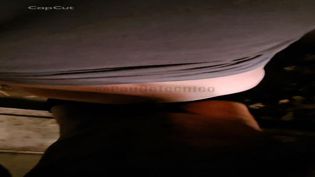 Marmitas na mata