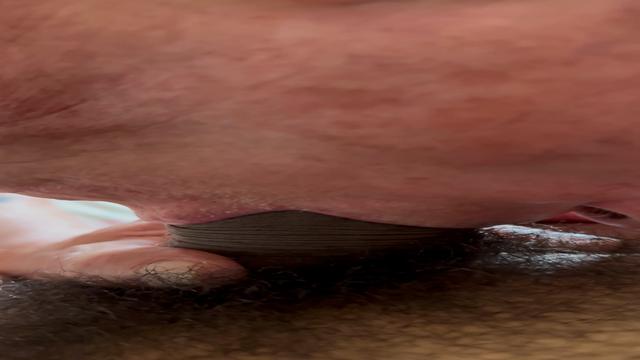 A volta do pintor !!!