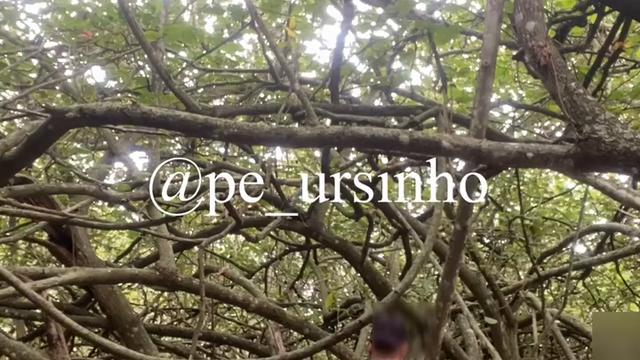 Trilha da reserva RJ 2022 V148