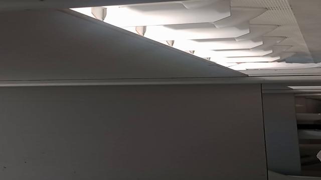 Delícia de pau grosso 