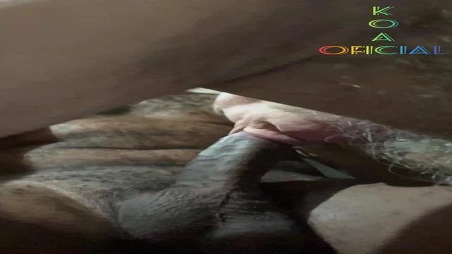 Vovô Amigo Super Peludo Néca Cabeçuda 