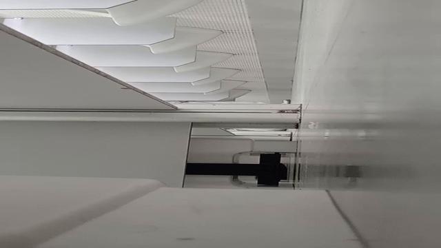 Vamos dar aquela olhada nos machos 