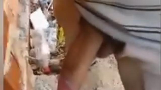 Vídeo exclusivo para assinantes 