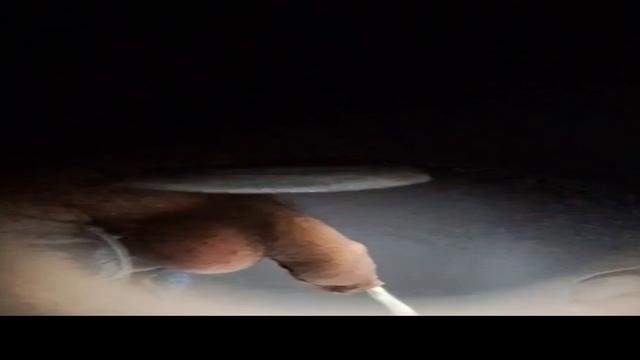 Spy