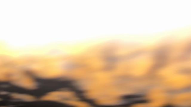 Endereço do Cinemão mais Putaria