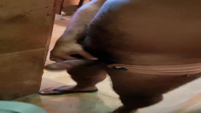 BANHEIRÃO EM FORTALEZA COM TURISTAS