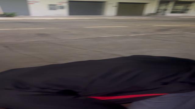 Viadinho obedece até na rua! 