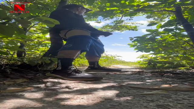 In the forest 