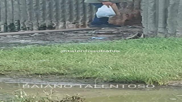 VERY YUMMY THIS CROWN I JUST DIDN'T GO NEAR THER...