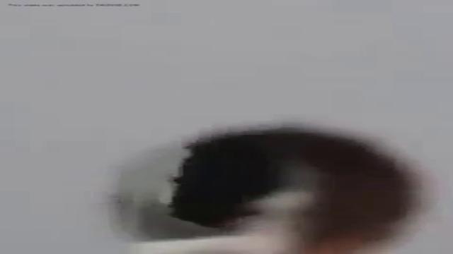 Trabalhadores brasileiros aliviando antes de chegar ...