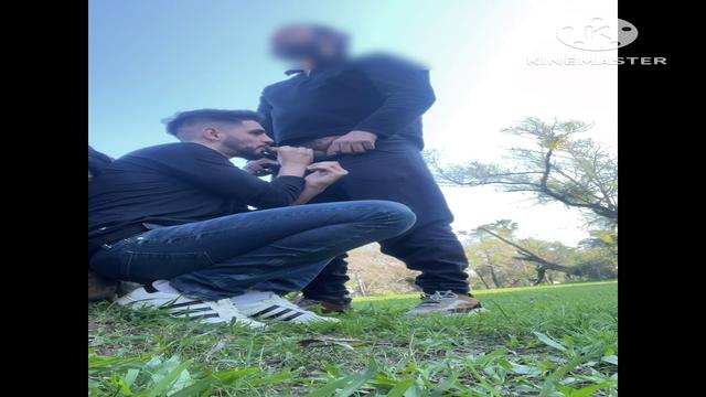 Mamando dotado no parque 