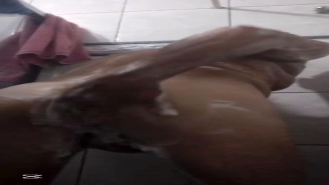 Banho + mijada desse lindo depois de um leite inédit...