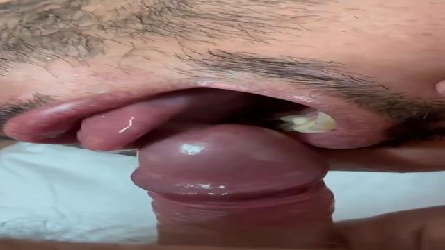 Sub ganhando leite