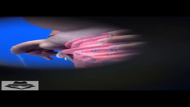 Spy