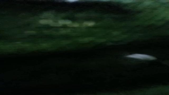 Putaria com os safados